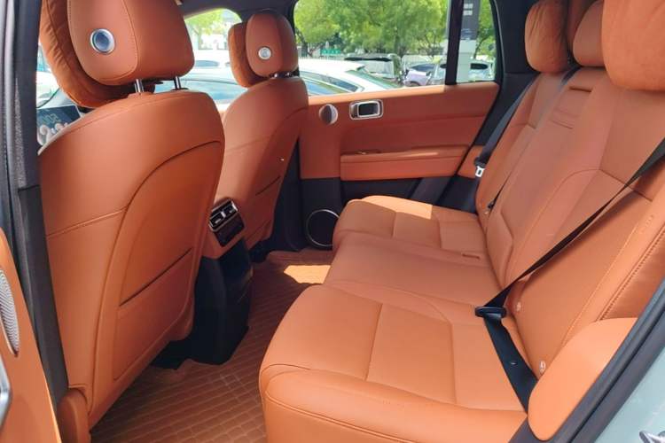 Used Li Auto L6 2025 Pro Smart Refresh Edition Left Rear Seat