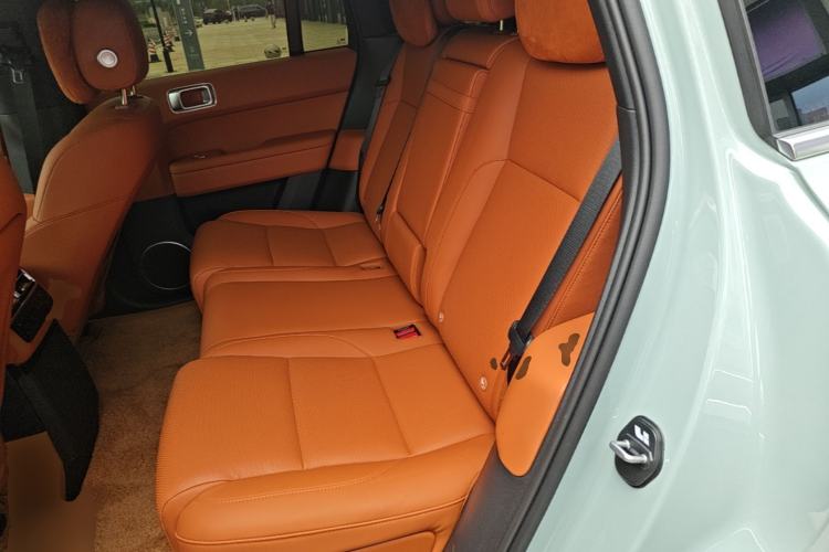 Used Li Auto L6 2025 Max Smart Refresh Edition Left Rear Seat