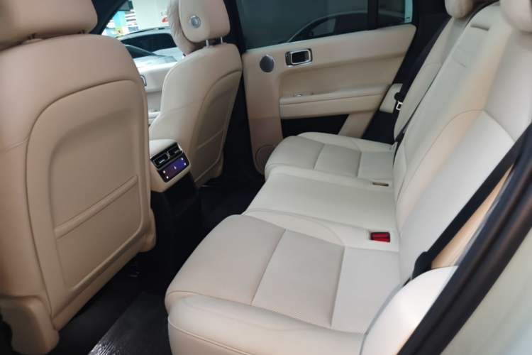 Used Li Auto L6 2025 Pro Smart Refresh Edition Left Rear Seat