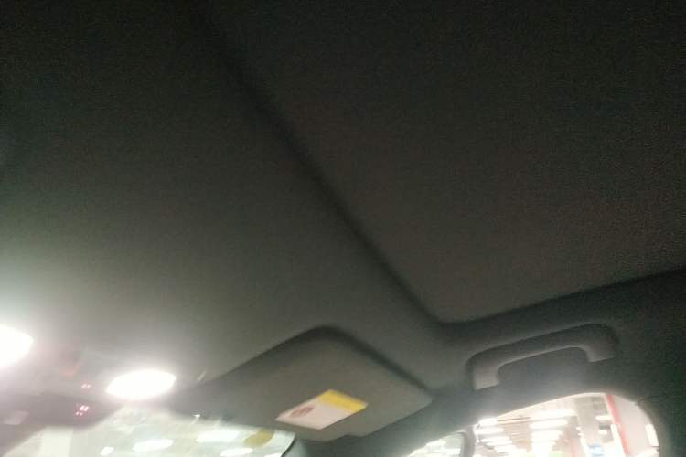 Used Li Auto L6 2025 Pro Smart Refresh Edition Headliner