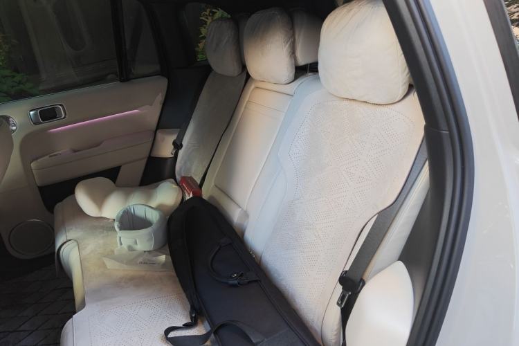 Used Li Auto L6 2025 Max Smart Refresh Edition Left Rear Seat