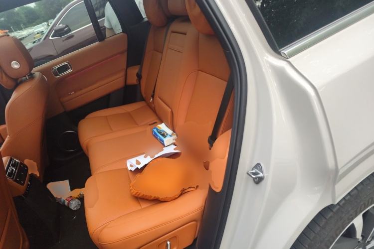 Used Li Auto L6 2025 Pro Smart Refresh Edition Left Rear Seat