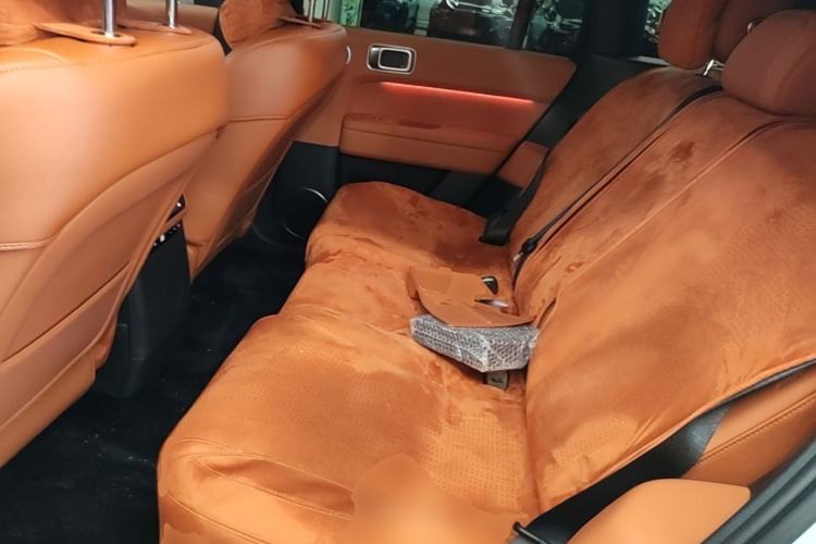 Used Li Auto L6 2025 Max Smart Refresh Edition Left Rear Seat