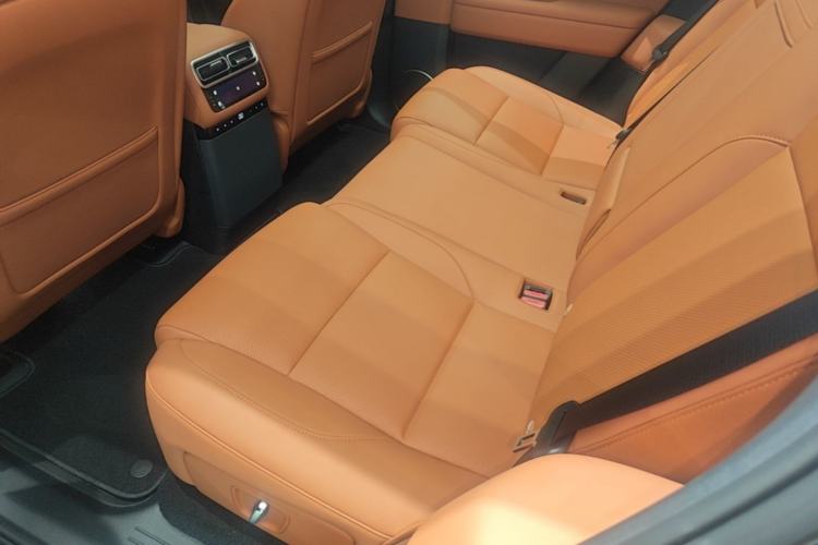 Used Li Auto L6 2025 Pro Smart Refresh Edition Left Rear Seat