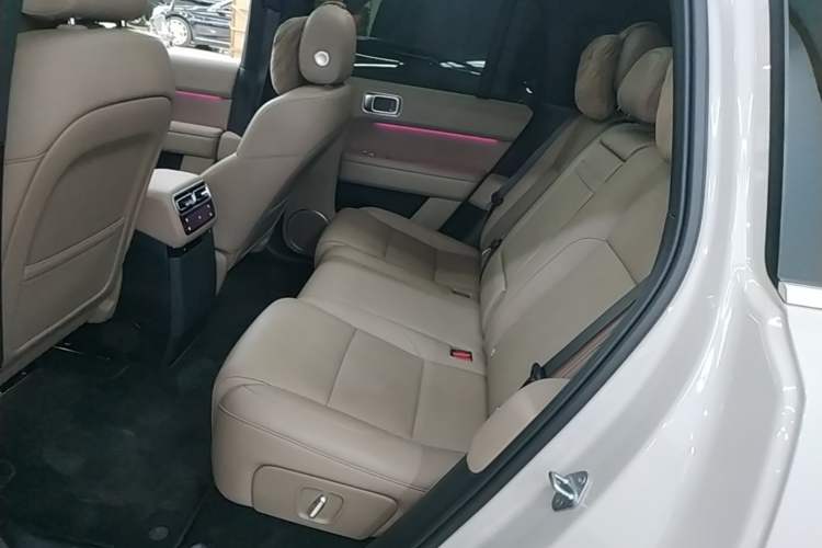 Used Li Auto L6 2025 Max Smart Refresh Edition Left Rear Seat