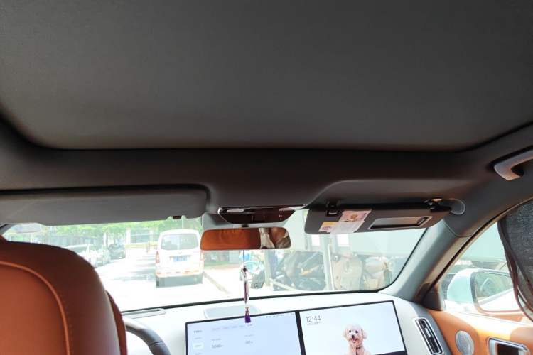 Used Li Auto L6 2025 Pro Smart Refresh Edition Headliner