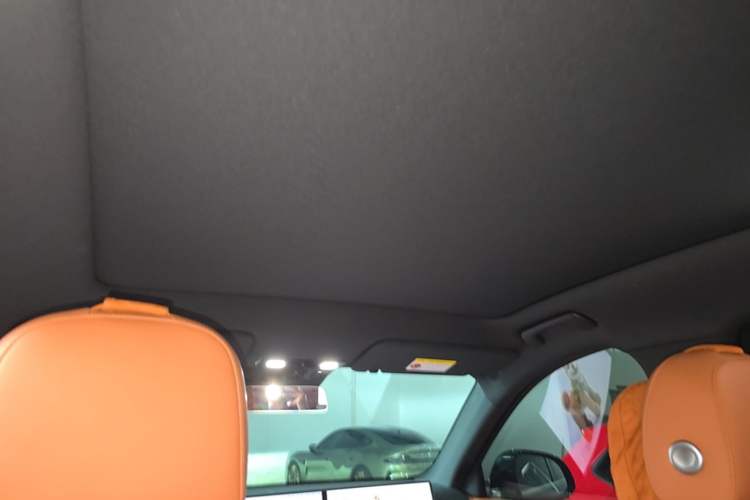 Used Li Auto L6 2025 Pro Smart Refresh Edition Headliner