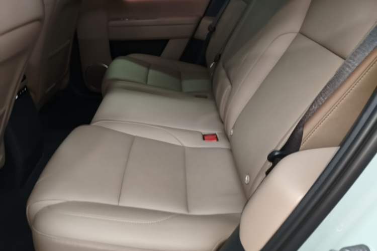 Used Li Auto L6 2025 Max Smart Refresh Edition Left Rear Seat
