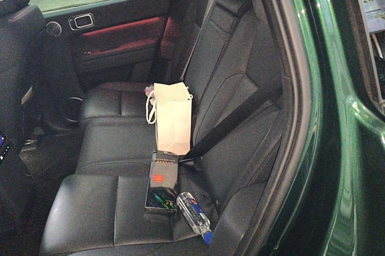 Used Li Auto L6 2025 Max Smart Refresh Edition Left Rear Seat