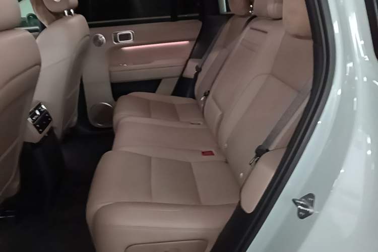 Used Li Auto L6 2025 Max Smart Refresh Edition Left Rear Seat