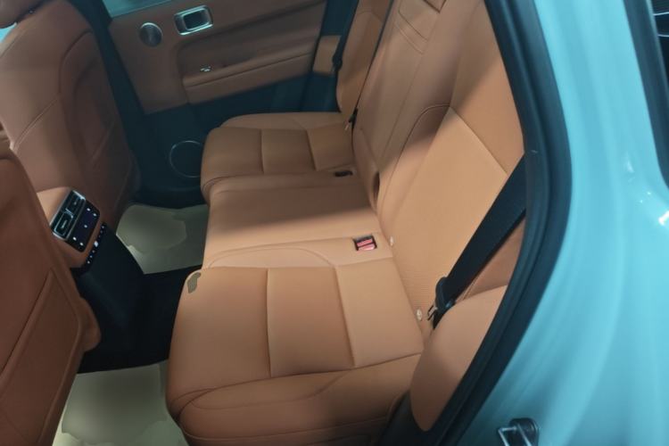 Used Li Auto L6 2025 Max Smart Refresh Edition Left Rear Seat