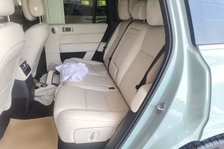 Used Li Auto L6 2025 Pro Smart Refresh Edition Left Rear Seat