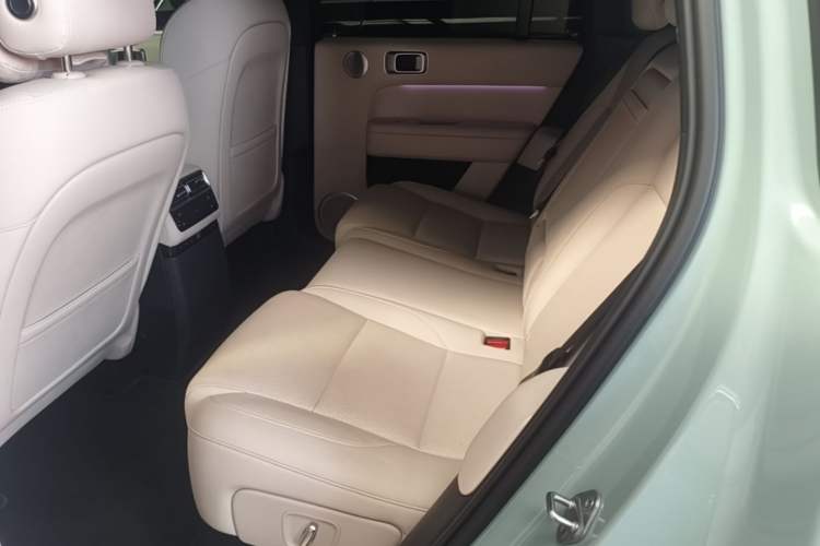 Used Li Auto L6 2025 Pro Smart Refresh Edition Left Rear Seat