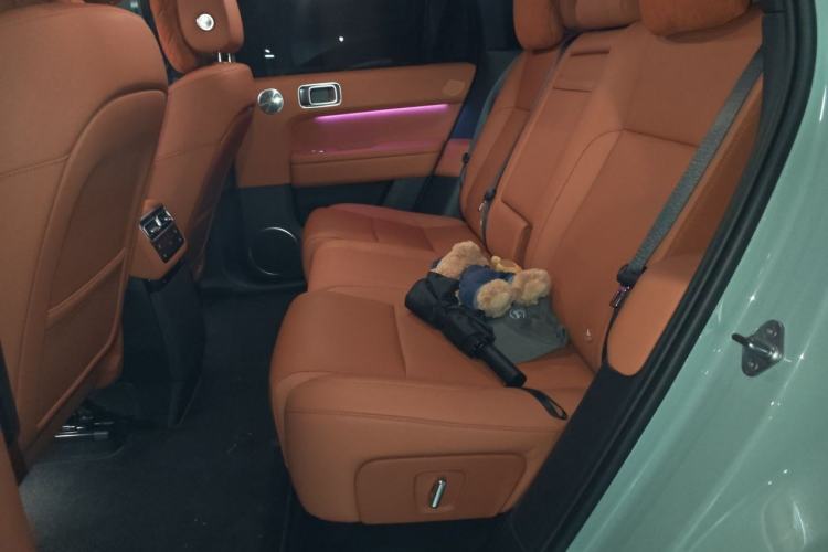 Used Li Auto L6 2025 Max Smart Refresh Edition Left Rear Seat