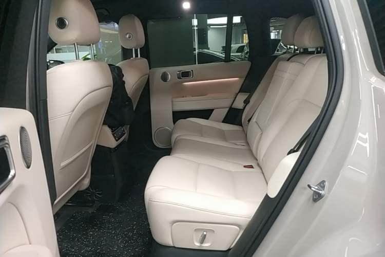Used Li Auto L6 2025 Pro Smart Refresh Edition Left Rear Seat