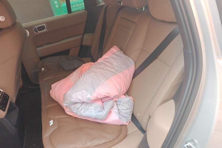 Used Li Auto L6 2025 Pro Smart Refresh Edition Left Rear Seat