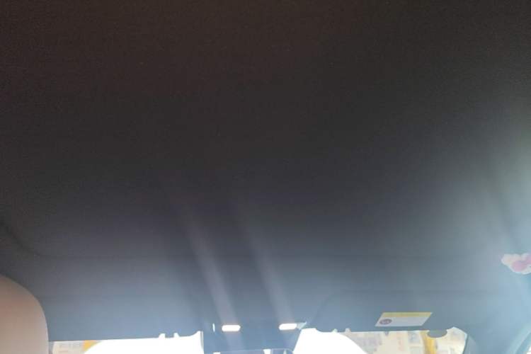 Used Li Auto L6 2025 Pro Smart Refresh Edition Headliner
