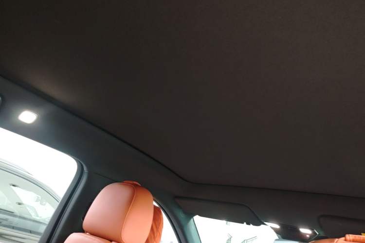 Used Li Auto L6 2025 Pro Smart Refresh Edition Headliner
