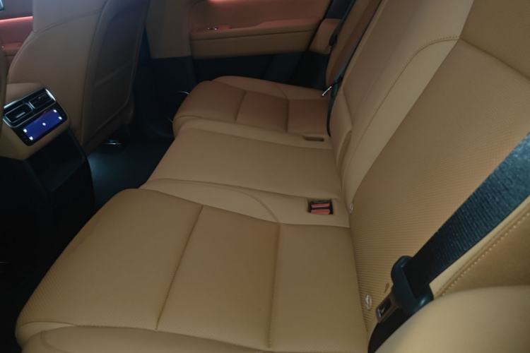 Used Li Auto L6 2025 Pro Smart Refresh Edition Left Rear Seat