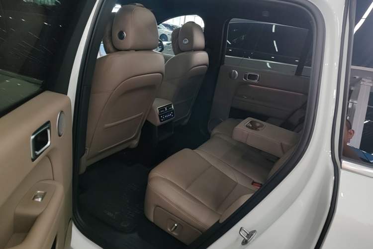 Used Li Auto L6 2025 Pro Smart Refresh Edition Left Rear Seat