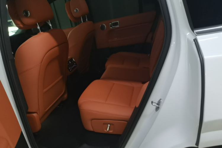 Used Li Auto L6 2025 Pro Smart Refresh Edition Left Rear Seat