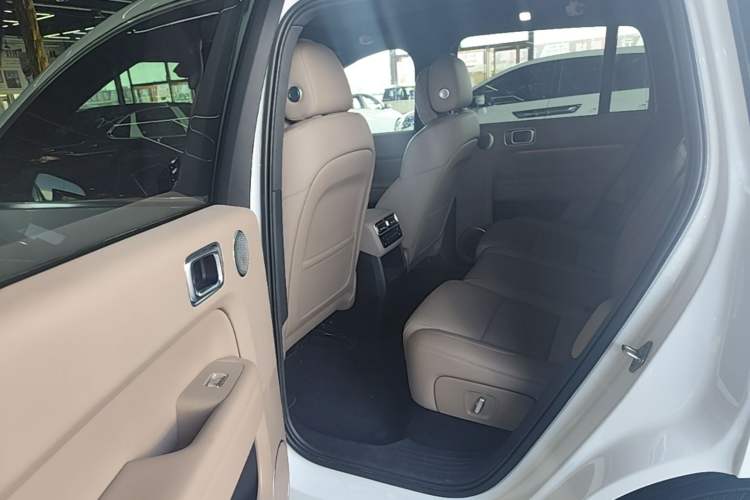 Used Li Auto L6 2025 Pro Smart Refresh Edition Left Rear Seat