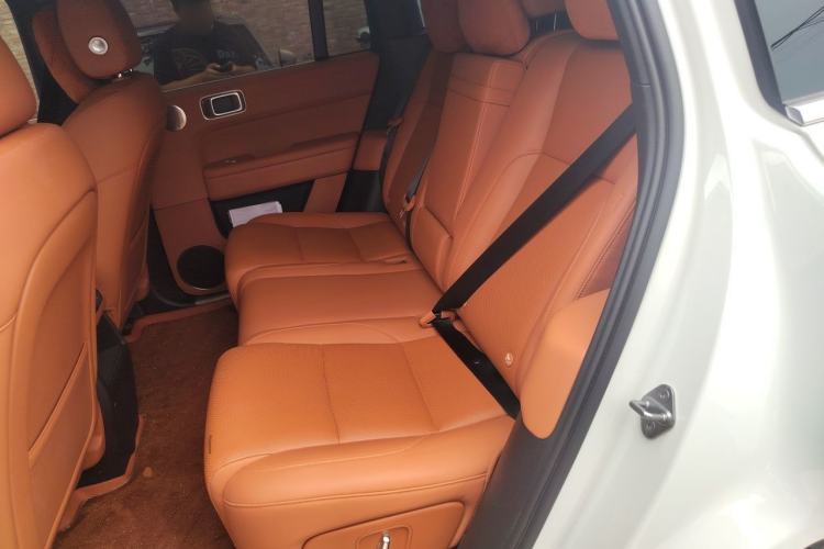 Used Li Auto L6 2025 Pro Smart Refresh Edition Left Rear Seat