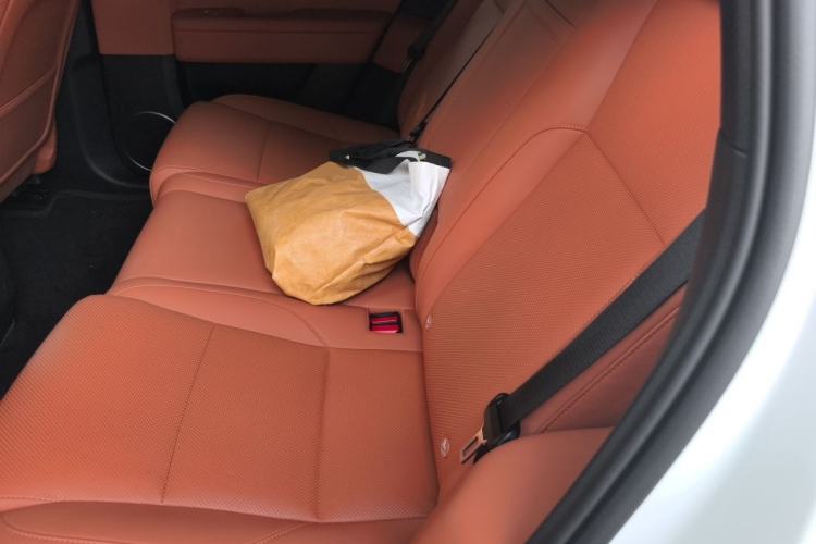 Used Li Auto L6 2025 Max Smart Refresh Edition Left Rear Seat