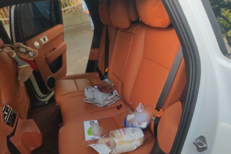 Used Li Auto L6 2025 Max Smart Refresh Edition Left Rear Seat