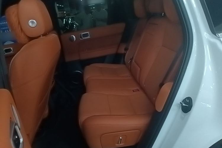 Used Li Auto L6 2025 Pro Smart Refresh Edition Left Rear Seat