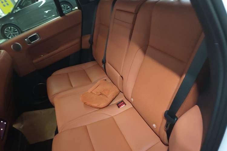 Used Li Auto L6 2025 Pro Smart Refresh Edition Left Rear Seat