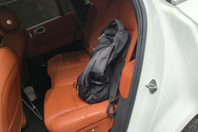 Used Li Auto L6 2025 Max Smart Refresh Edition Left Rear Seat