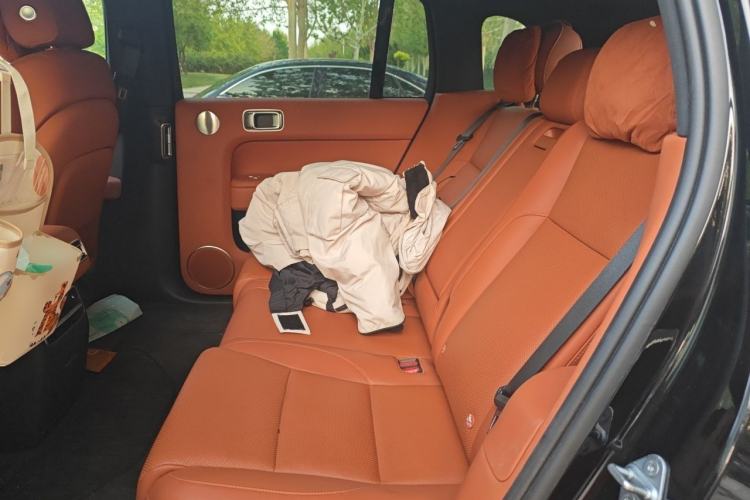 Used Li Auto L7 2023 Pro Model Left Rear Seat