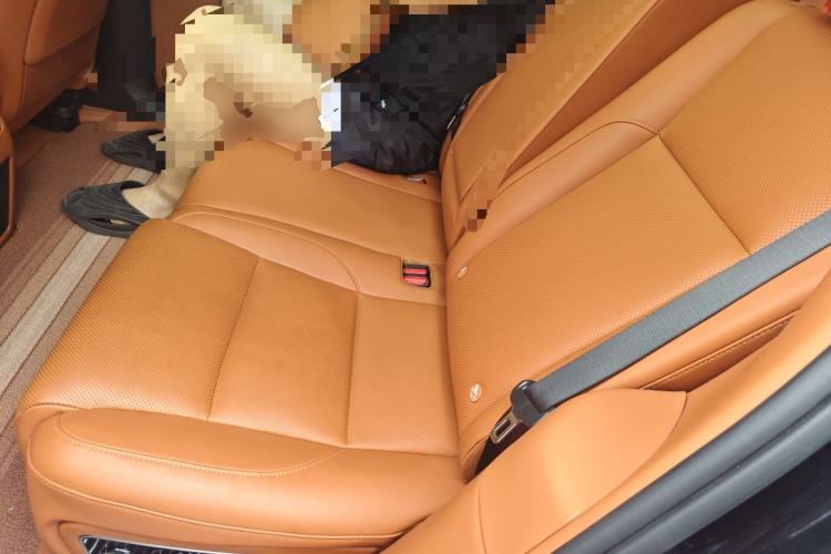 Used Li Auto L7 2023 Pro Model Left Rear Seat