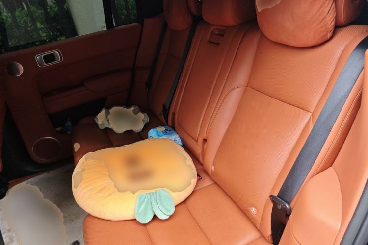 Used Li Auto L7 2023 Air model Left Rear Seat