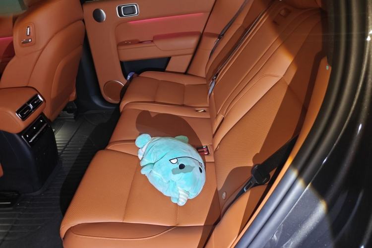 Used Li Auto L7 2023 Max model Left Rear Seat
