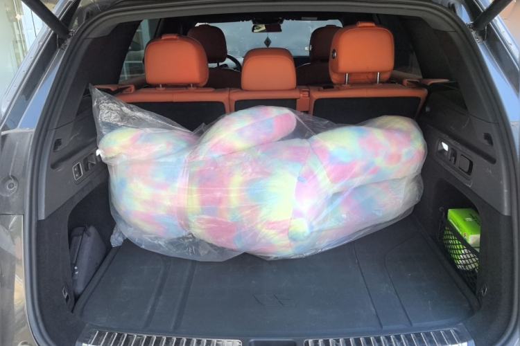 Used Li Auto L7 2023 Air model Trunk