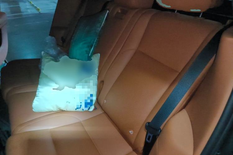 Used Li Auto L7 2023 Air model Left Rear Seat