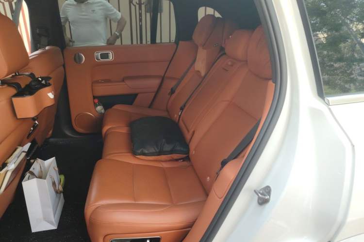 Used Li Auto L7 2023 Pro Model Left Rear Seat