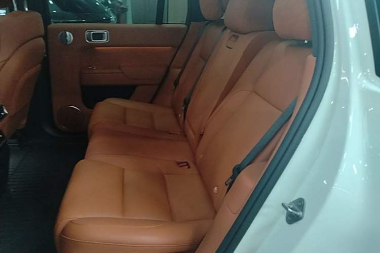 Used Li Auto L7 2023 Pro Model Left Rear Seat