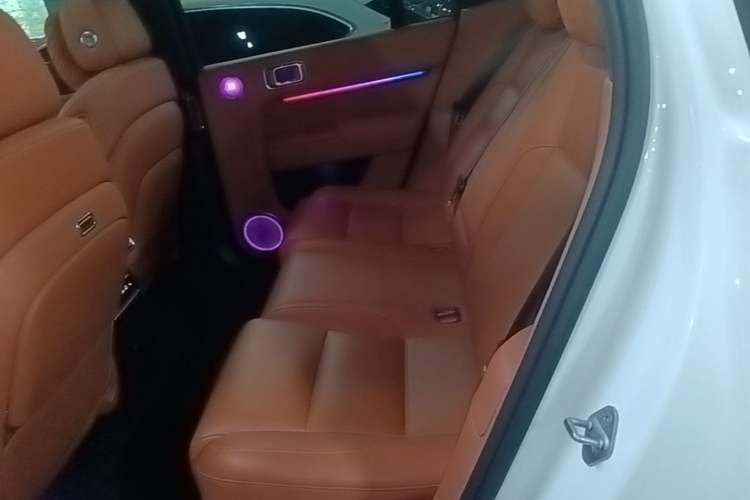 Used Li Auto L7 2023 Max model Left Rear Seat