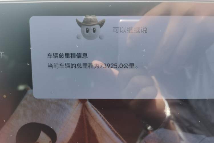Used Li Auto L7 2023 Pro Model Odometer Close Up