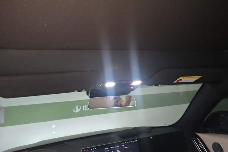 Used Li Auto L7 2024 MAX Model Headliner