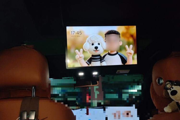 Used Li Auto L7 2024 Ultra Model Headliner