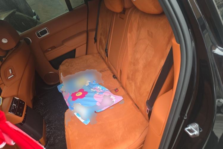 Used Li Auto L7 2024 MAX Model Left Rear Seat