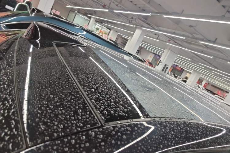Used Li Auto L7 2024 MAX Model Roof
