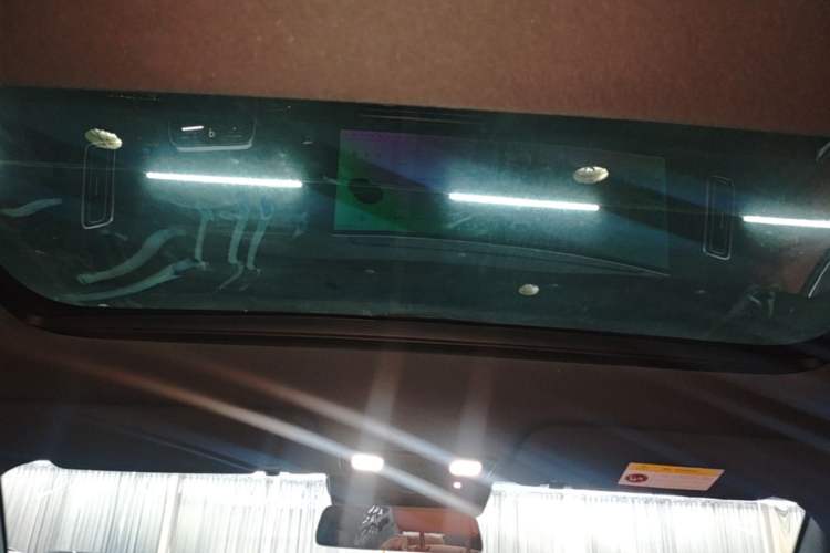Used Li Auto L7 2024 MAX Model Headliner