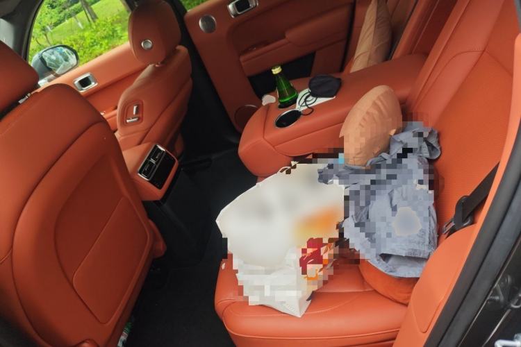 Used Li Auto L7 2024 MAX Model Left Rear Seat