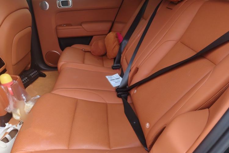 Used Li Auto L7 2024 MAX Model Left Rear Seat