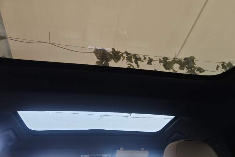 Used Li Auto L7 2024 MAX Model Headliner